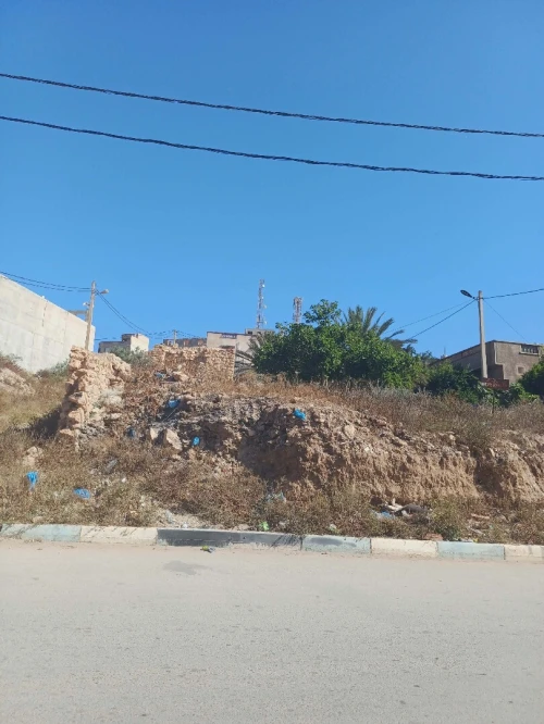Vente Terrain Tlemcen Marsa ben mhidi