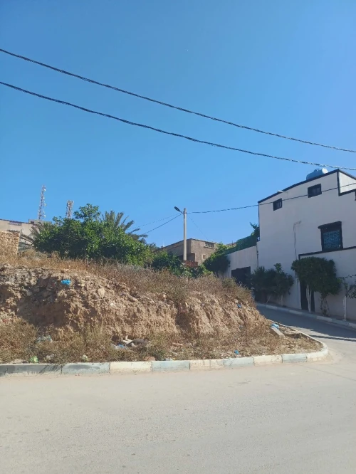 Vente Terrain Tlemcen Marsa ben mhidi