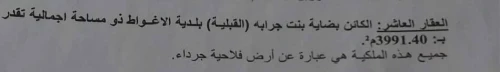 Vente Terrain Laghouat Laghouat