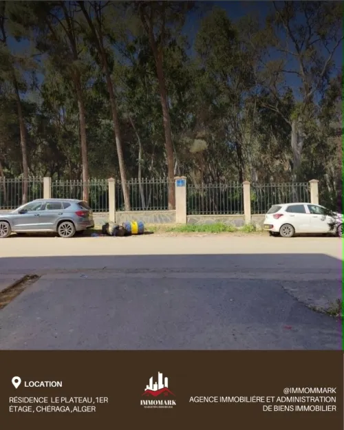 Location Local Alger Cheraga