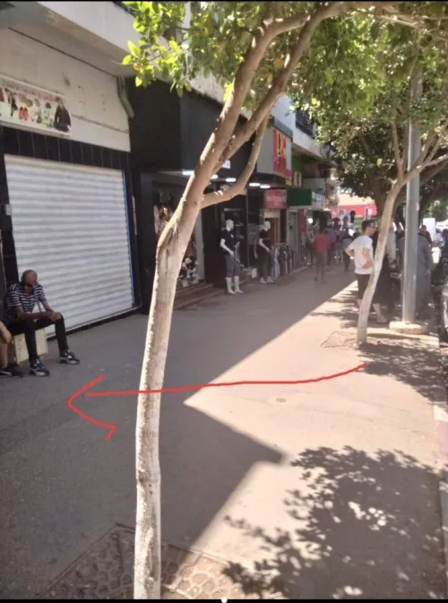 Location Local Chlef Chlef