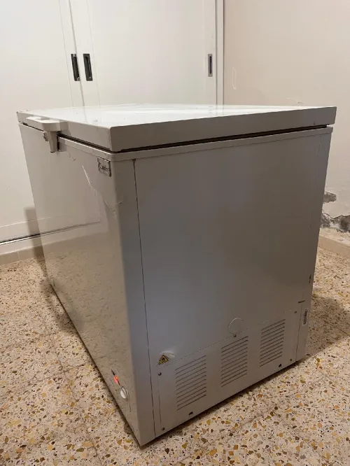 Frigo 
