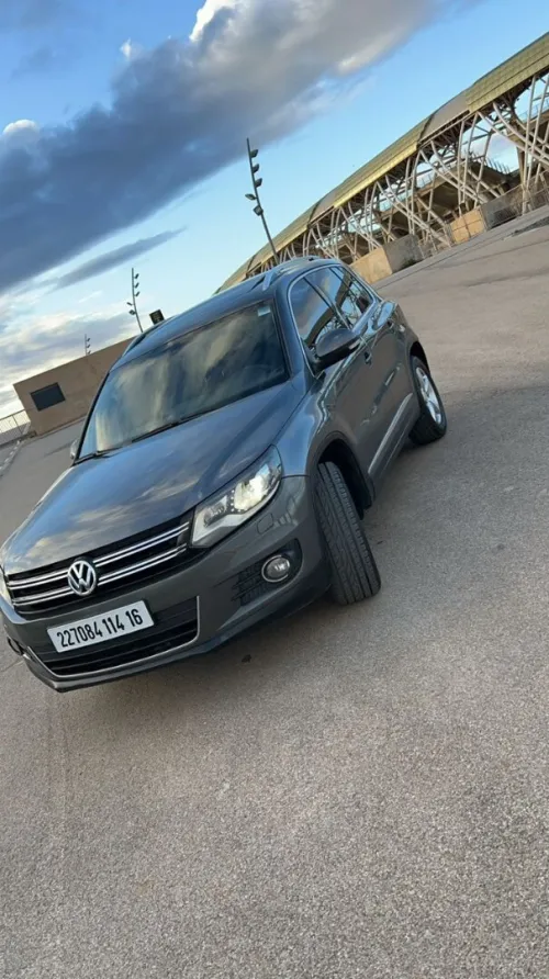 Volkswagen Tiguan 2014 Cup