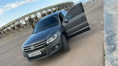Volkswagen Tiguan 2014 Cup