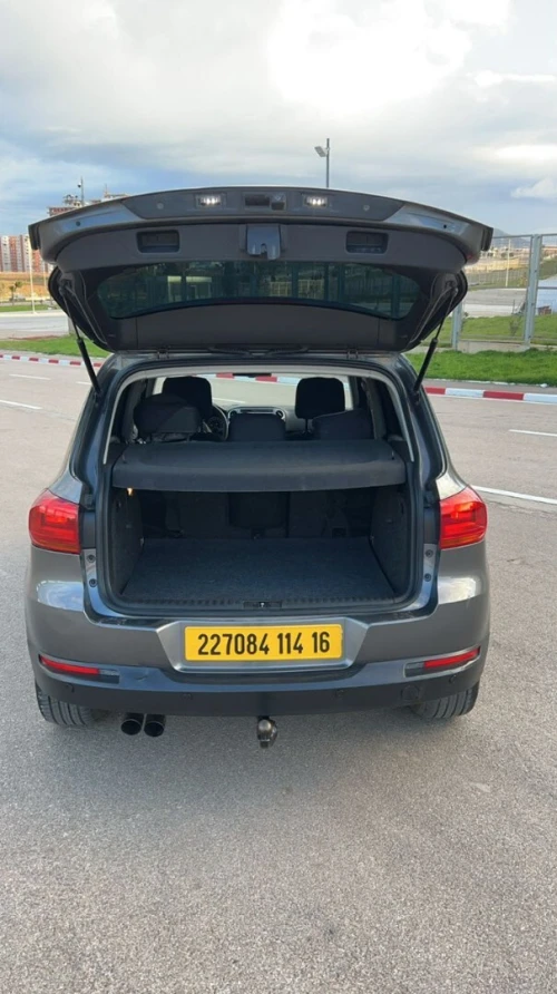 Volkswagen Tiguan 2014 Cup