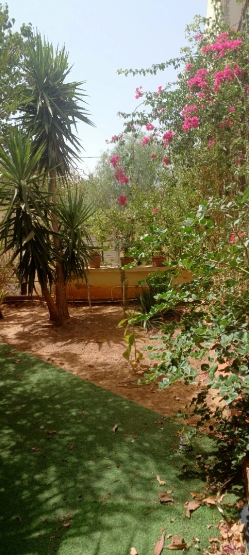 Vente Villa Tlemcen Tlemcen