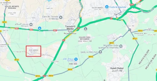 Location Local Alger Tessala el merdja