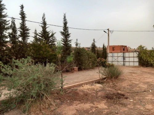 Vente Terrain Agricole Mascara El keurt