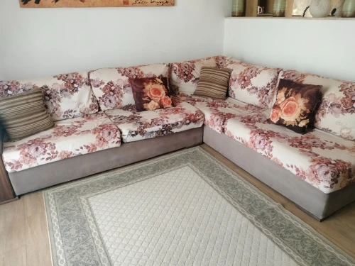 Salon +tapis +cadre