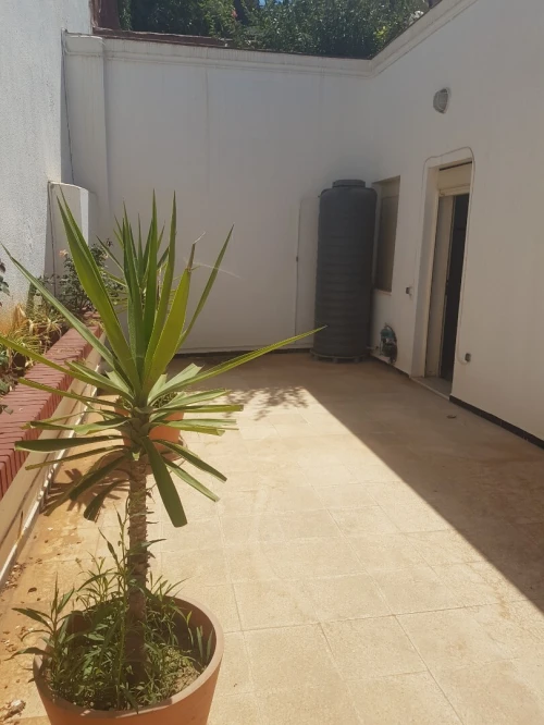 Location Appartement F3 Alger Kouba