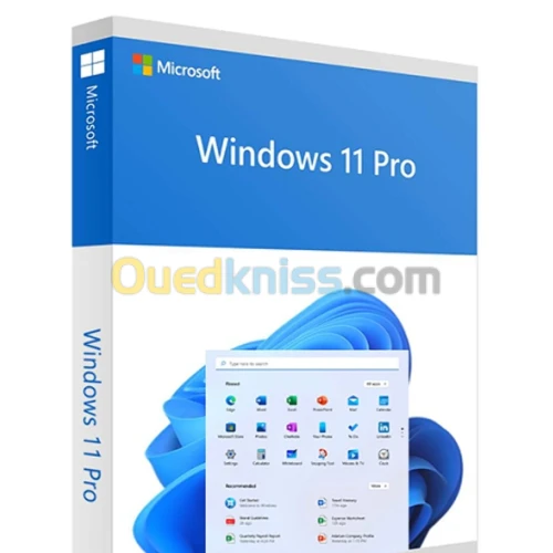 WINDOWS 11 PRO