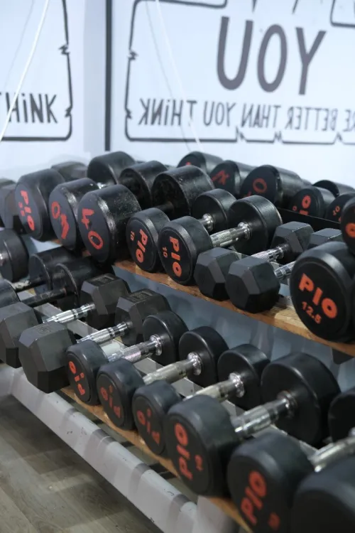 Matériel de musculation PRO AGES