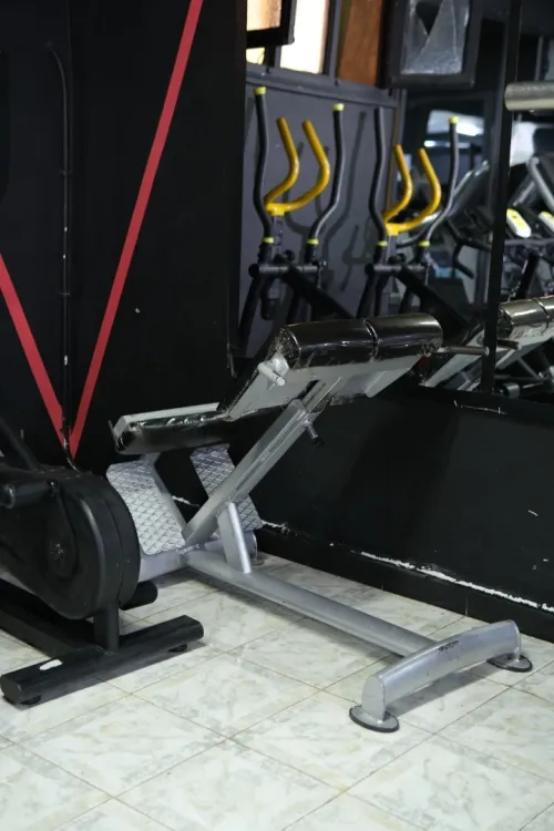 Matériel de musculation PRO AGES