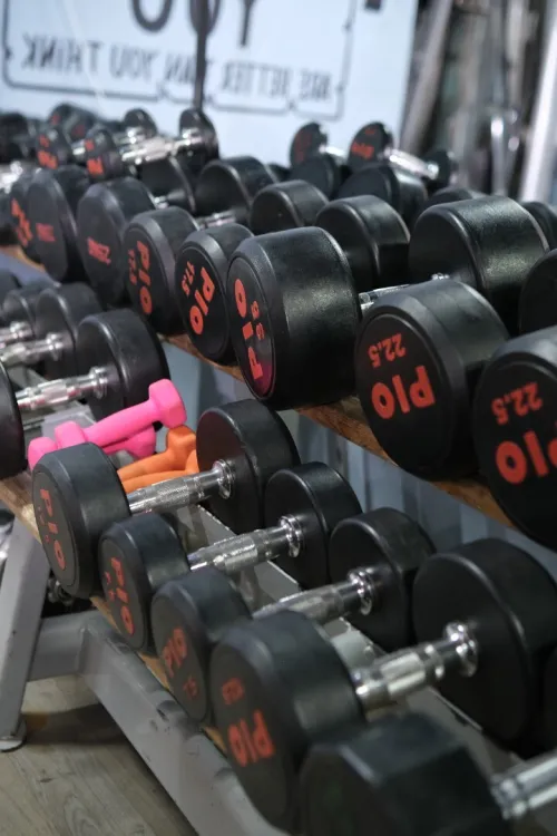 Matériel de musculation PRO AGES