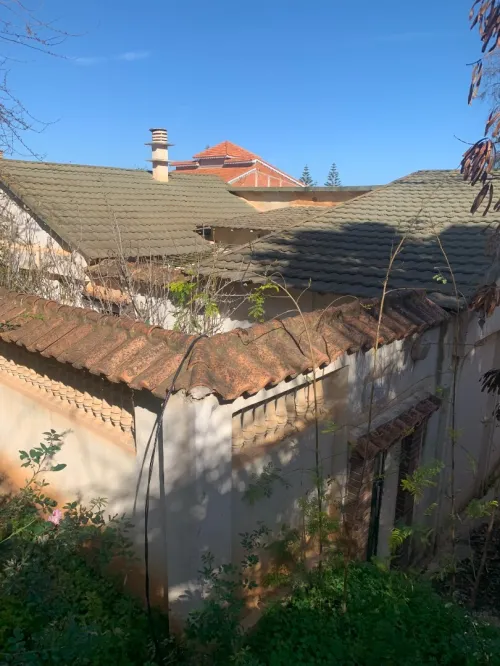 Vente Villa Alger Zeralda