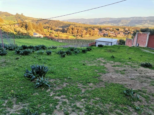 Vente Terrain Boumerdès Bordj menaiel