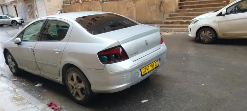 Peugeot 407 2008 407