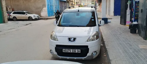 Peugeot Partner 2010 Tepee