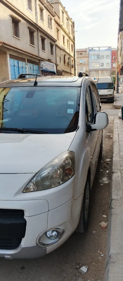 Peugeot Partner 2010 Tepee