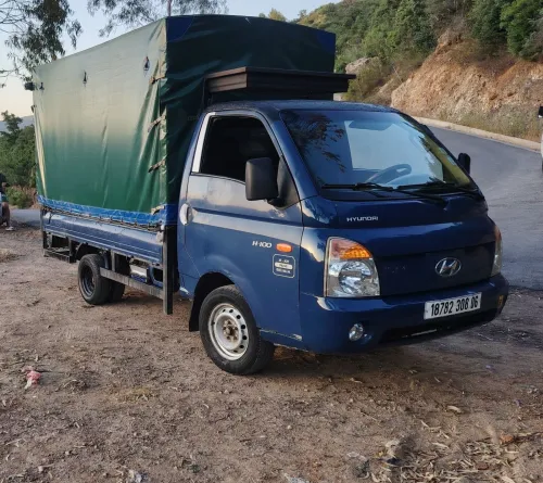 Hyundai H100 2008