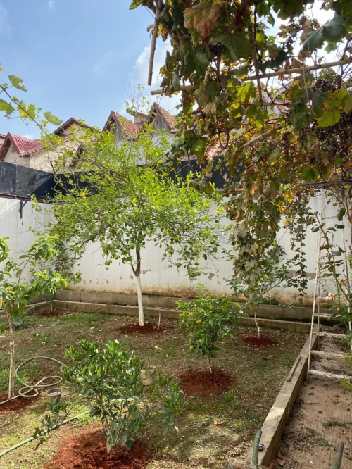 Vente Villa Blida Beni mered