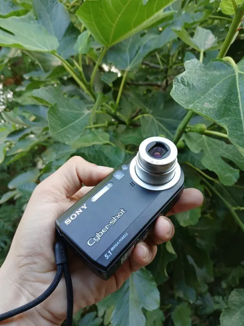 sony dsc p120