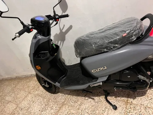 Cuxi Cuxi 2 2025