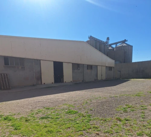 Location Hangar - Usine Sétif Setif