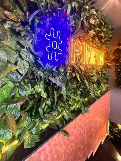 neon Led