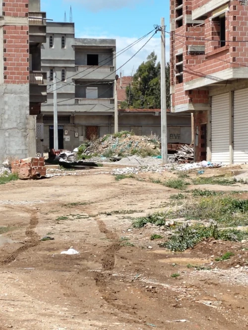 Vente Terrain Batna Fesdis