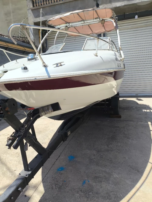 Bayliner in-bord