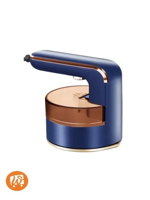 Sliver CERST Mini Steamer 2000W Défroisseur Vapeur Portable