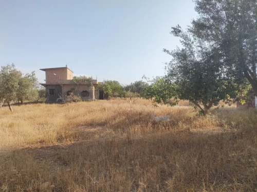 Vente Terrain Agricole Tlemcen Remchi