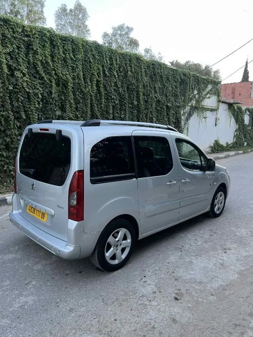 Peugeot Partner 2011 Tepee