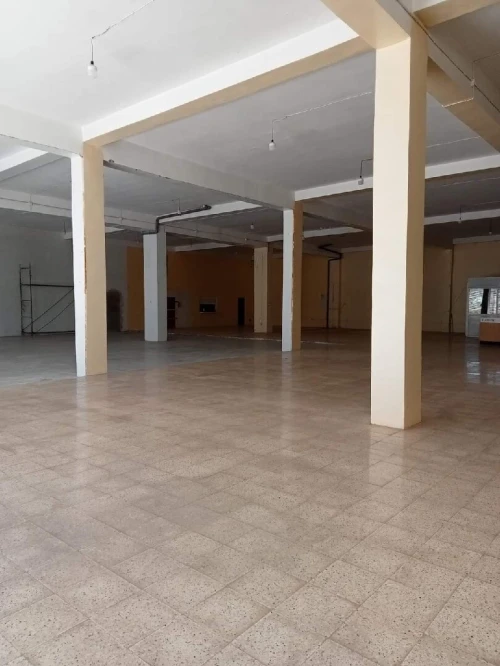 Location Local Tlemcen Chetouane