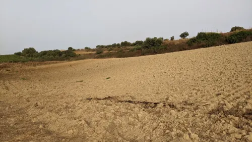 Vente Terrain Boumerdes Corso