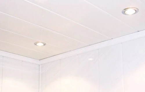 Installation Faux Plafond PVC Et Placoplatre BA13