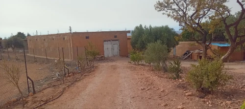 Vente Terrain Agricole Tlemcen Sabra