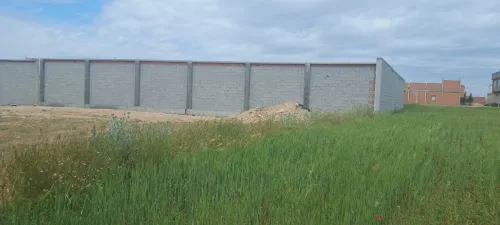 Vente Terrain Sétif Guidjel