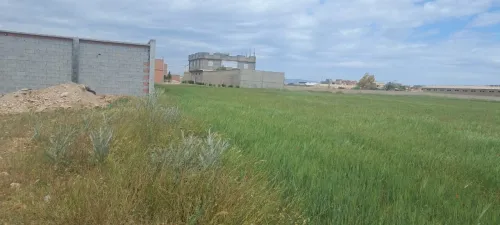 Vente Terrain Sétif Guidjel