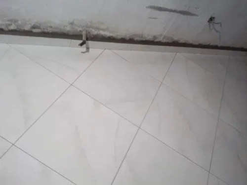 الجزائر 