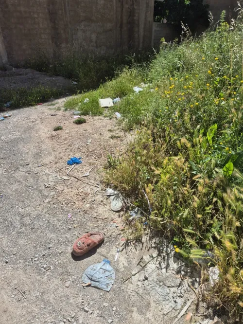Vente Terrain Constantine El khroub