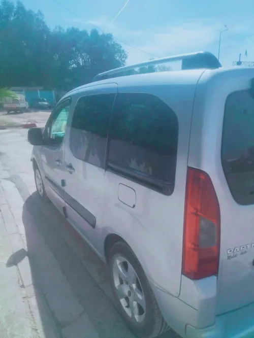 Peugeot Partner 2011 Tepee