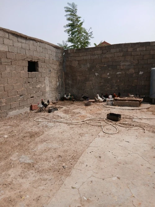 Vente Terrain Sétif El eulma