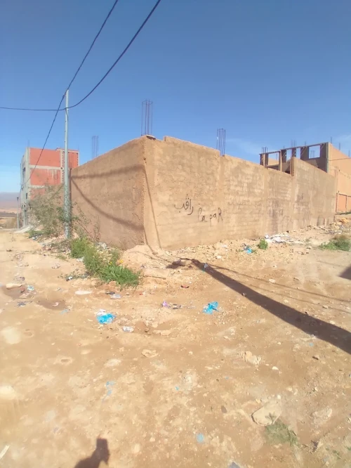 Vente Terrain Tlemcen Maghnia