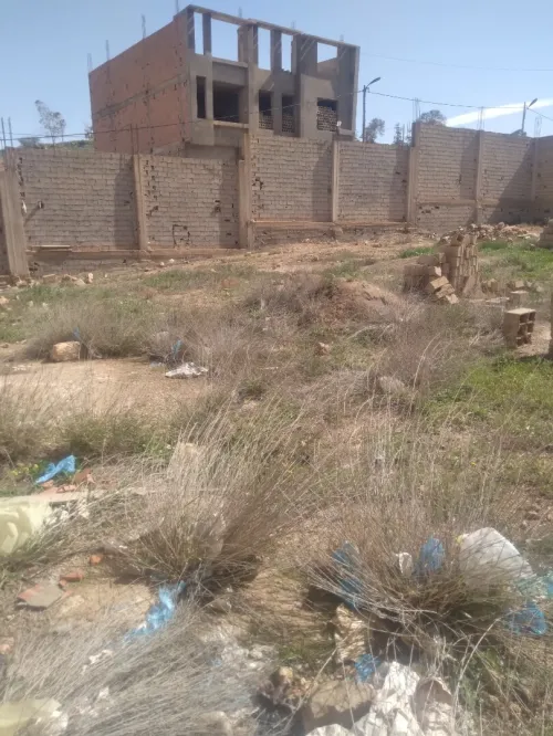 Vente Terrain Tlemcen Maghnia