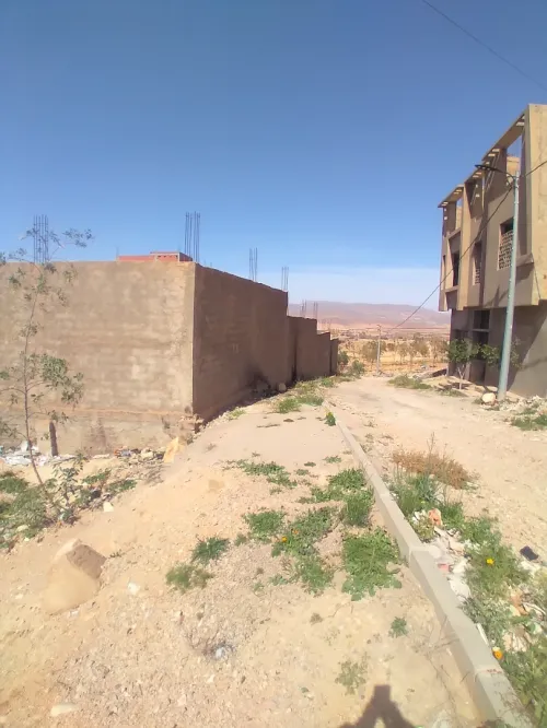 Vente Terrain Tlemcen Maghnia