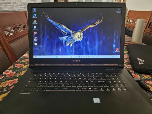 Msi gamer. Léopard pro