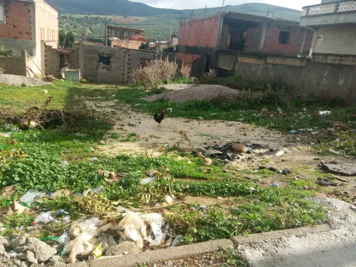 Vente Terrain Guelma Bouati mahmoud