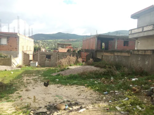 Vente Terrain Guelma Bouati mahmoud